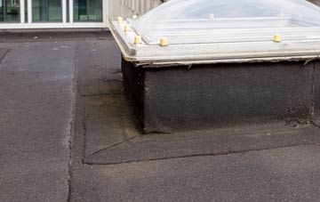 disadvantages of Dryslwyn flat roofs
