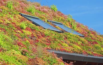 Dryslwyn living roof systems
