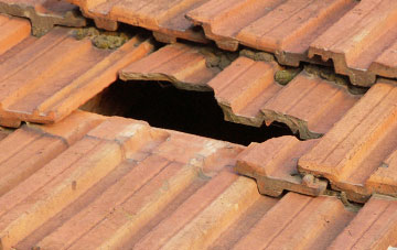 roof repair Dryslwyn, Carmarthenshire